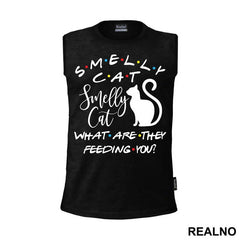 Smelly Cat What Are The Feeding You - Friends - Prijatelji