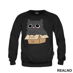 If It Fits I Stis - Kutija I Mačka - Cats - Majica