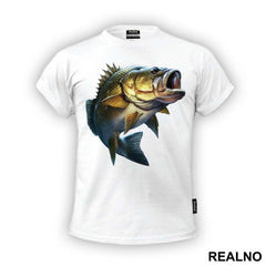 Sea Bass - Pecanje - Fishing