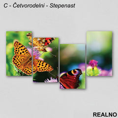 Leptiri na cvetu - Slika na platnu - Kanvas