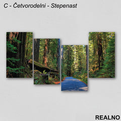 Proleće u šumi - Slika na platnu - Kanvas