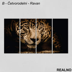 Leopard - Slika na platnu - Kanvas