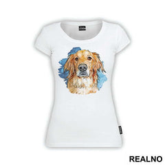 Golden Retriever Blue Splash - Životinje