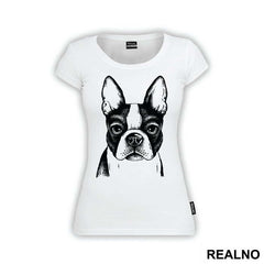 Dog Face Illustration - Životinje