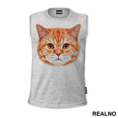 Ginger Cat Face - Životinje
