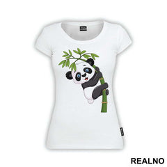 Baby Panda On A Branch - Životinje
