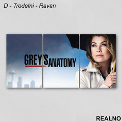 Meredith Grey - Grey's Anatomy - Slika na platnu - Kanvas