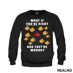 Fishes - What If You're Right And They're Wrong - Fargo