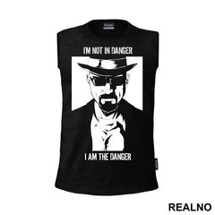 I'm Not In Danger, I Am The Danger - Walter White - Breaking Bad