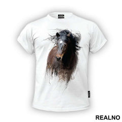 Horse Running - Životinje