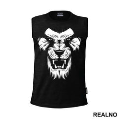 Lions Face - Životinje