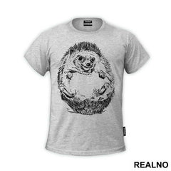 Hedgehog Illustration - Životinje
