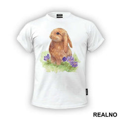 Rabbit Drawing - Životinje