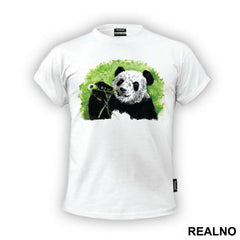 Panda Portrait - Životinje