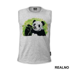 Panda Portrait - Životinje