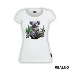 Koalas On A Branch - Životinje