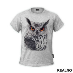 Owl Orange Eyes - Životinje