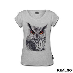 Owl Orange Eyes - Životinje