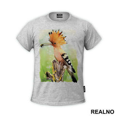 Eurasian Hoopoe Eating A Bug - Životinje