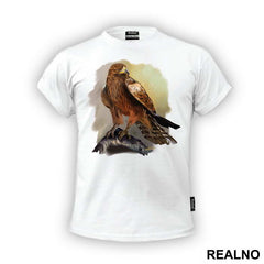 Hawk On A Branch - Životinje