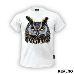 Owl Color Portrait - Životinje