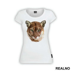 Lioness Head Illustration Portrait - Životinje