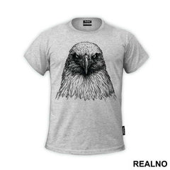 Eagle Pencil Drawing - Životinje