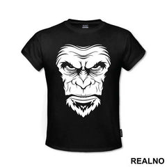 Ape Face Portrait - Životinje