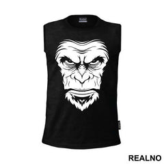 Ape Face Portrait - Životinje