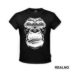 Monkey Face Portrait - Životinje