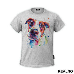 Jack Russell Terrier - Životinje