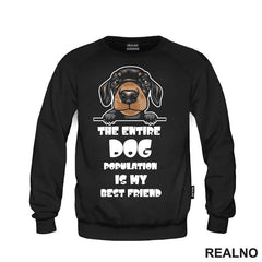 The Entire Dog Population Is My Best Friend - Puppy Dachshund Dog - Pas - Psi