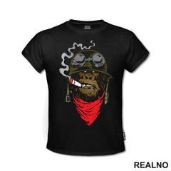 Cool Monkey - Majmun - Životinje