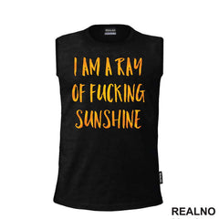 I Am A Ray Of Fucking Sunshine - Humor