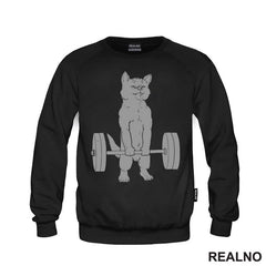 Cat Weightifting - Trening