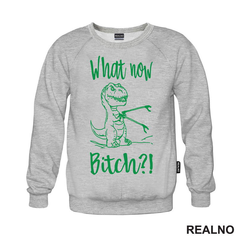 What Now Bitch - T-Rex - Arms - Humor - Majica