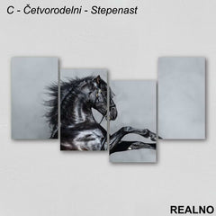 Crni Konj - Slika na platnu - Kanvas