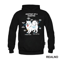 Samojed - Pas - Dog