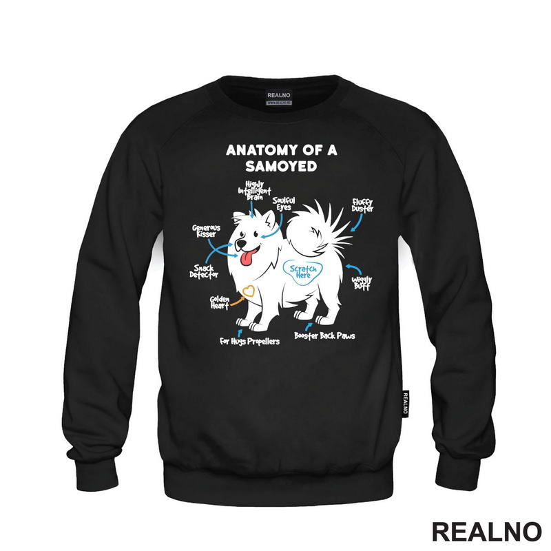 Samojed - Pas - Dog