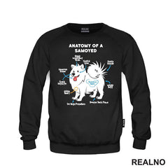 Samojed - Pas - Dog
