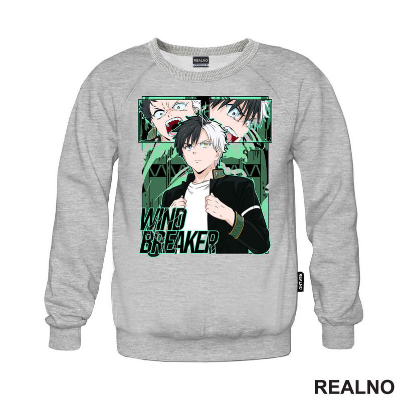 Haruka Sakura - Wind Breaker - Anime