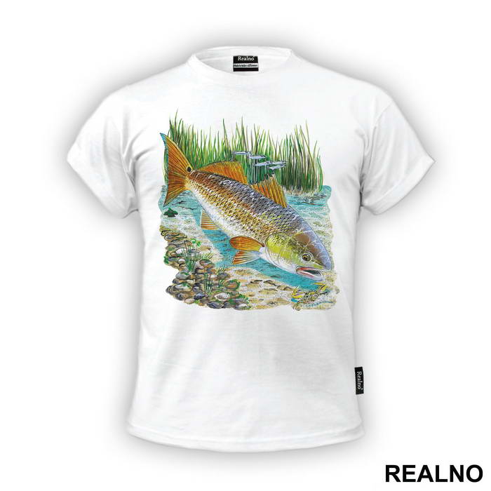 Fish In A River - Pecanje - Fishing