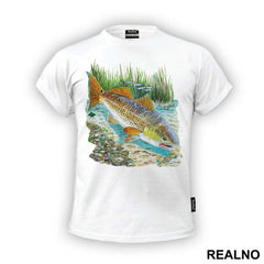 Fish In A River - Pecanje - Fishing