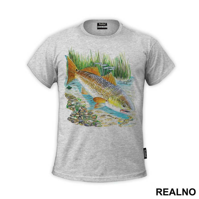 Fish In A River - Pecanje - Fishing