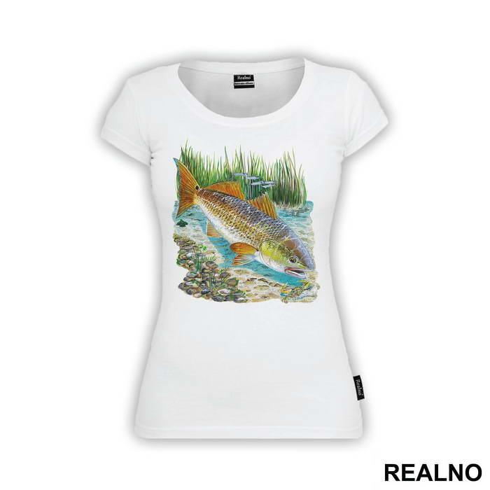 Fish In A River - Pecanje - Fishing