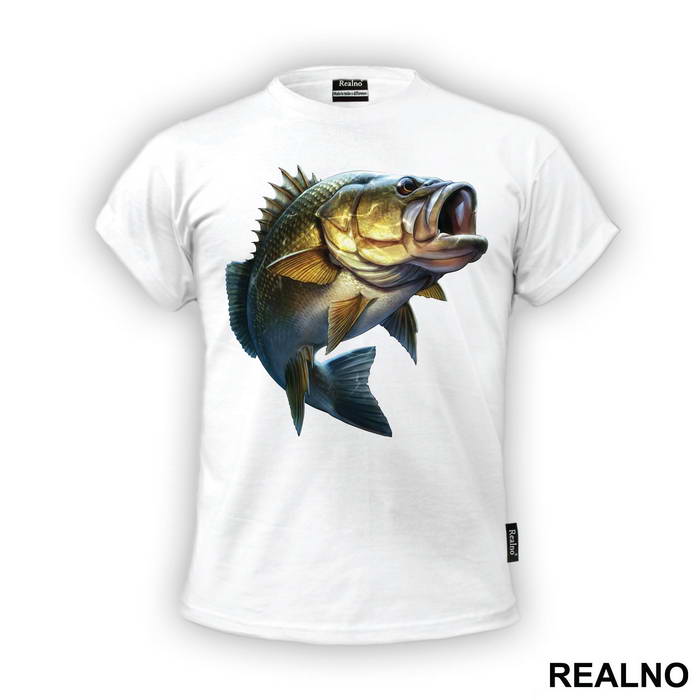 Sea Bass - Pecanje - Fishing
