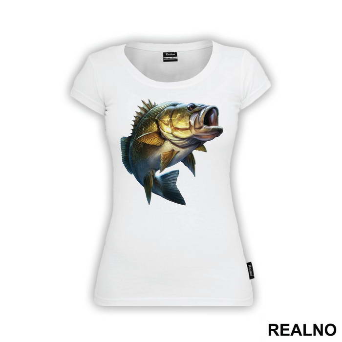 Sea Bass - Pecanje - Fishing