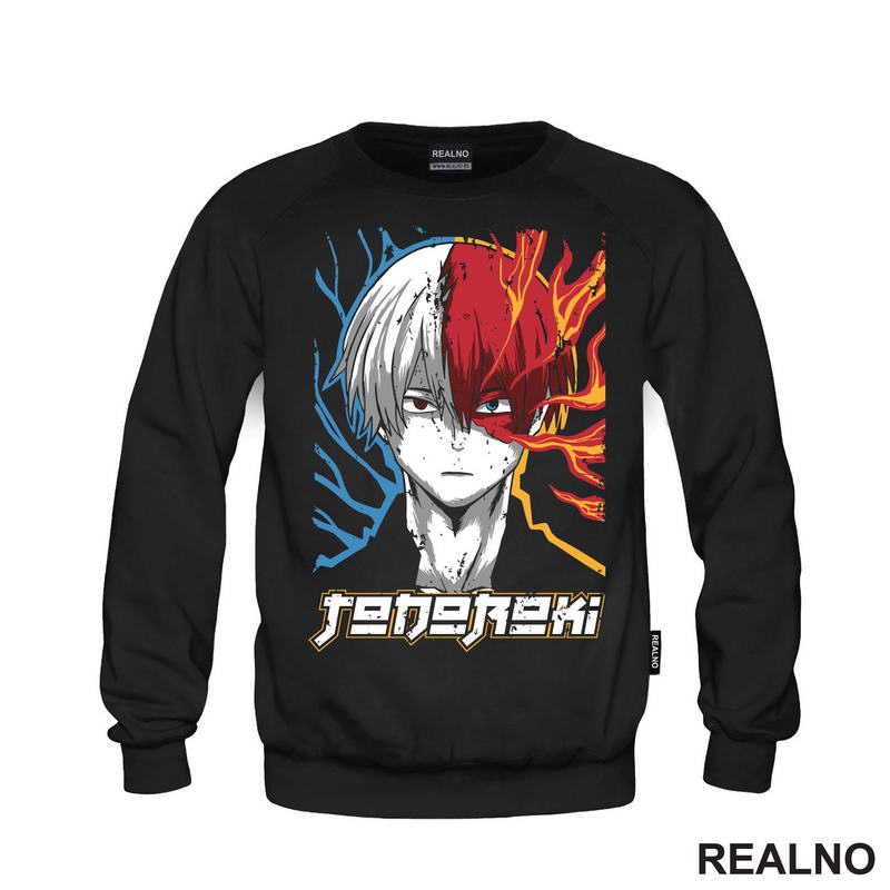 Shoto Todoroki - My Hero Academia