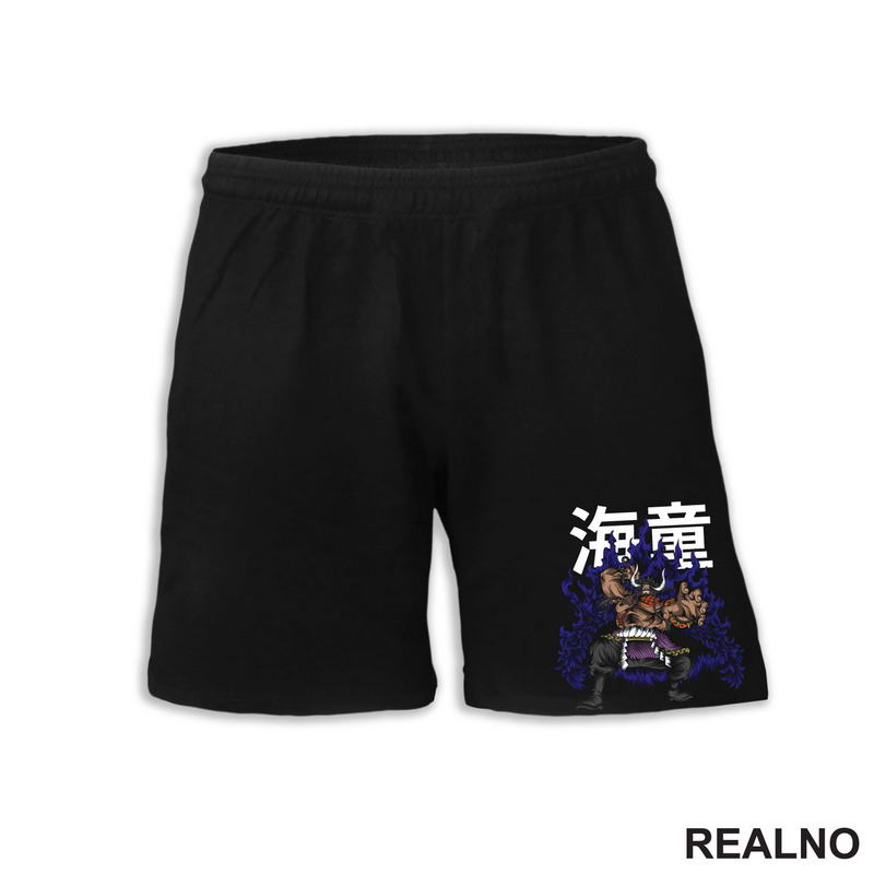 Kaido - Purple Overcoat - One Piece