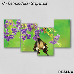 Leptir Na Cvetu - Slika na platnu - Kanvas